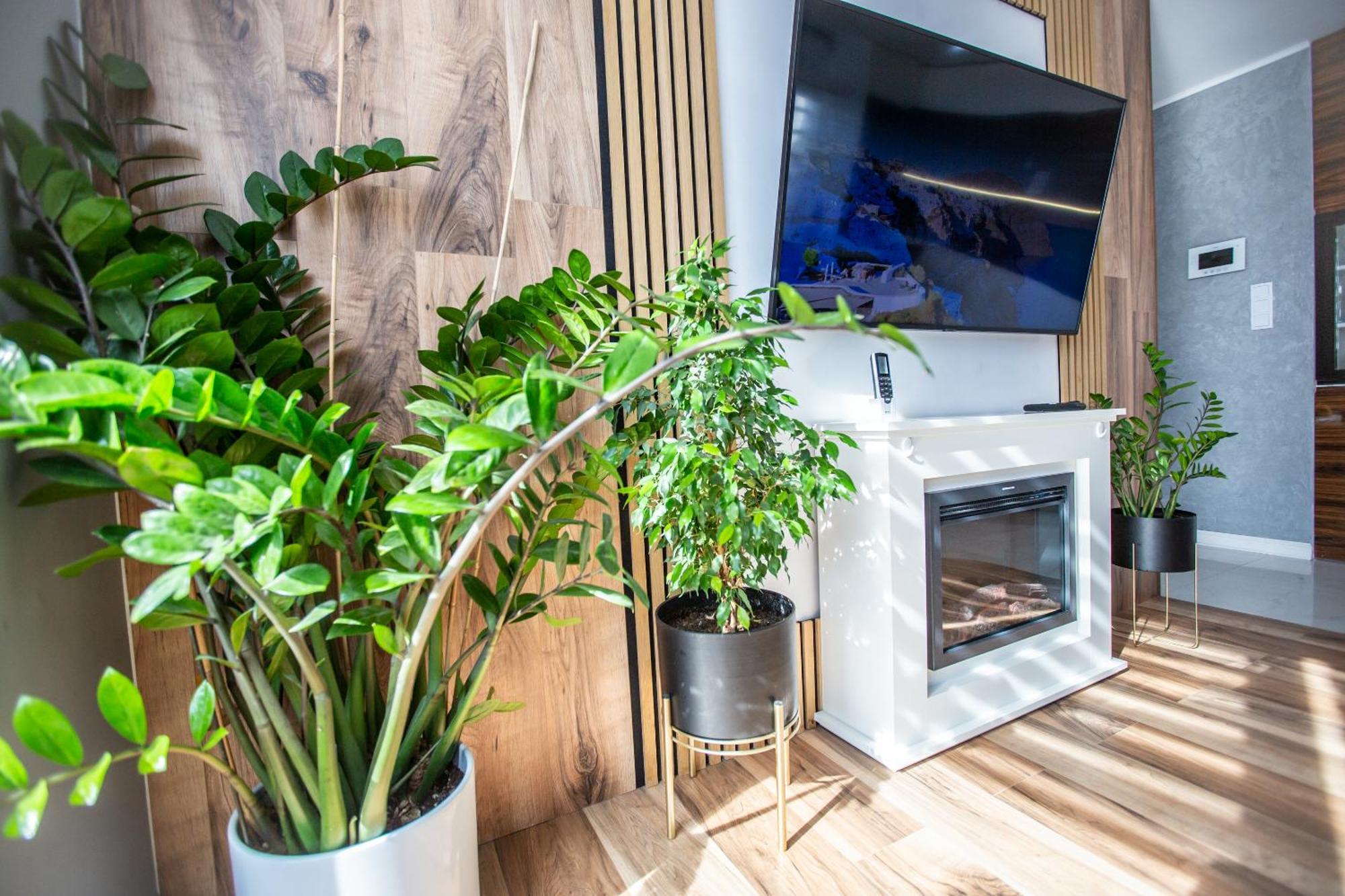 Wlodarska 4A Apartament Premium 克拉科夫 外观 照片